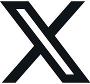 x logo